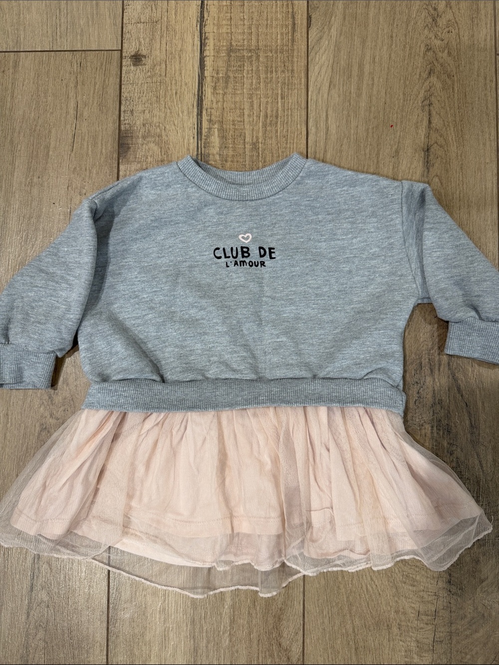 Zara Sweatshirt Dress with Pink Tulle Skirt - Kids